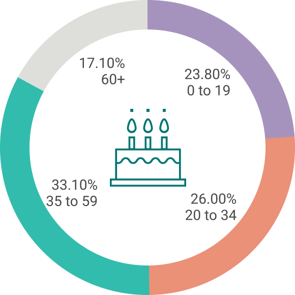 Population Age: 0 to 19 23.8%, 20 to 34 26%, 35 to 59 33.1%, 60+ 17.1%