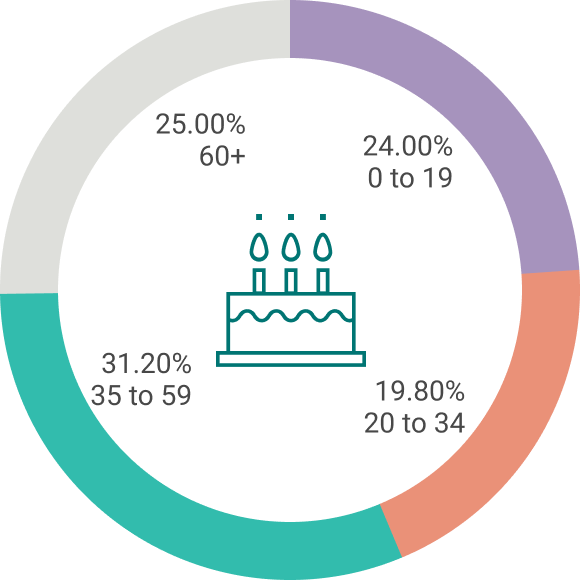 Population Age: 0 to 19 24%, 20 to 34 19.8%, 35 to 59 31.2%, 60+ 25%
