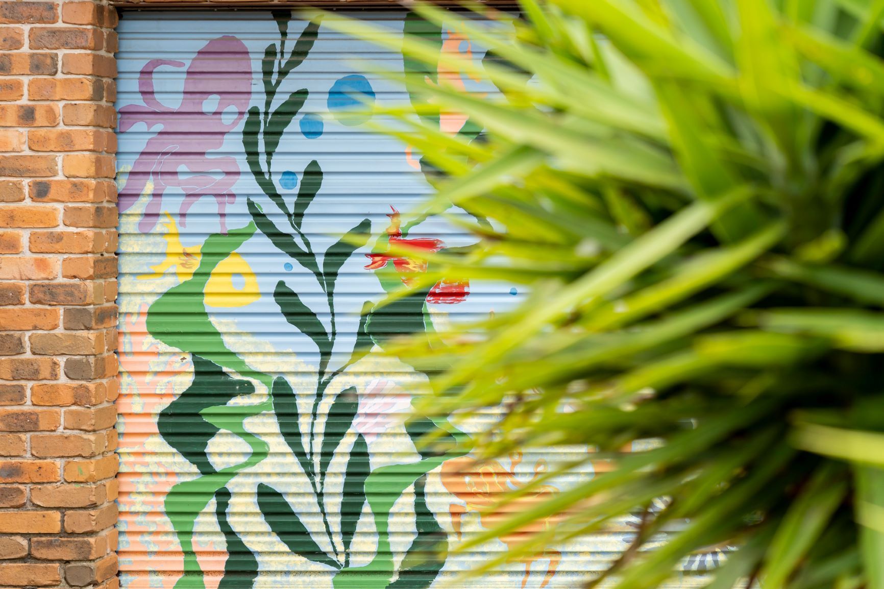 Erksine Park backyard 2