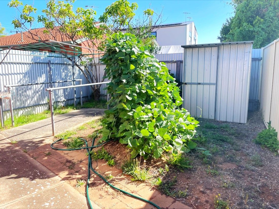 Williams Ave Plympton 5 lr