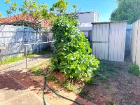 Williams Ave Plympton 5 lr