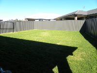 Wadalba Backyard
