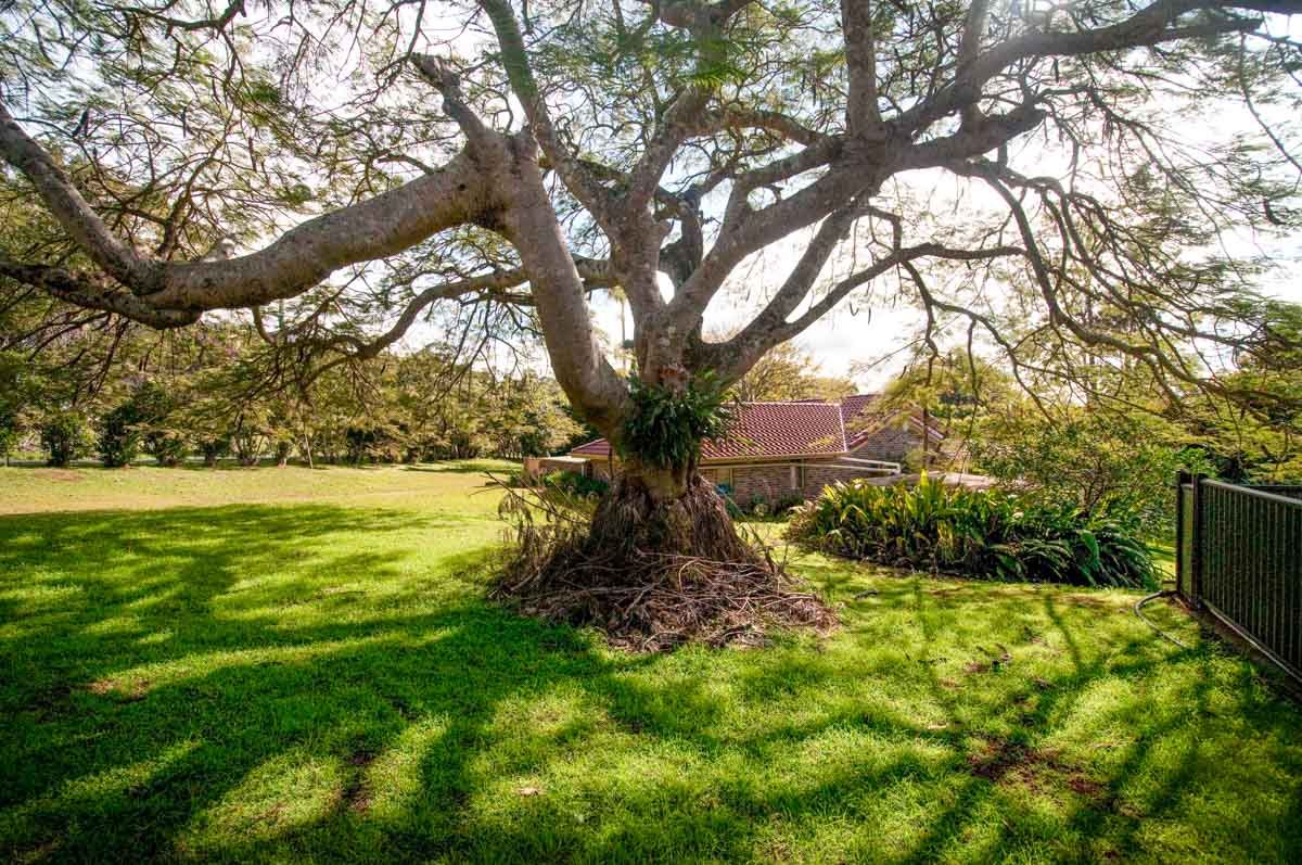 Wardell Rd Garden Web1200x800