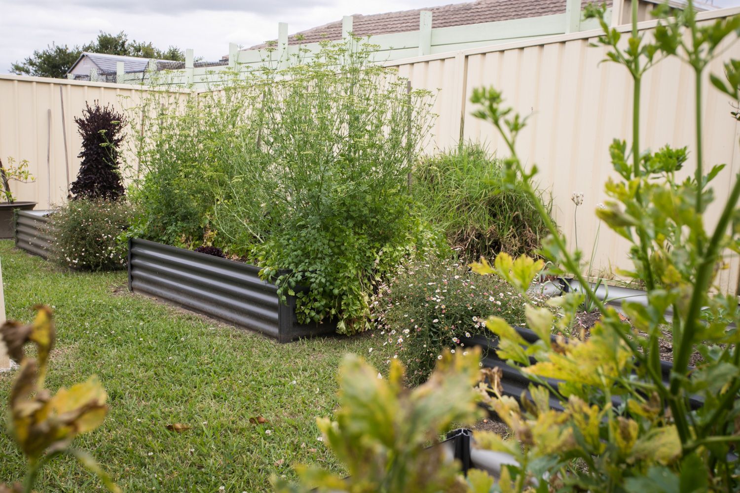 SIL 025 1B Walker Ave  Kanwal - Outdoor (LR)-0003