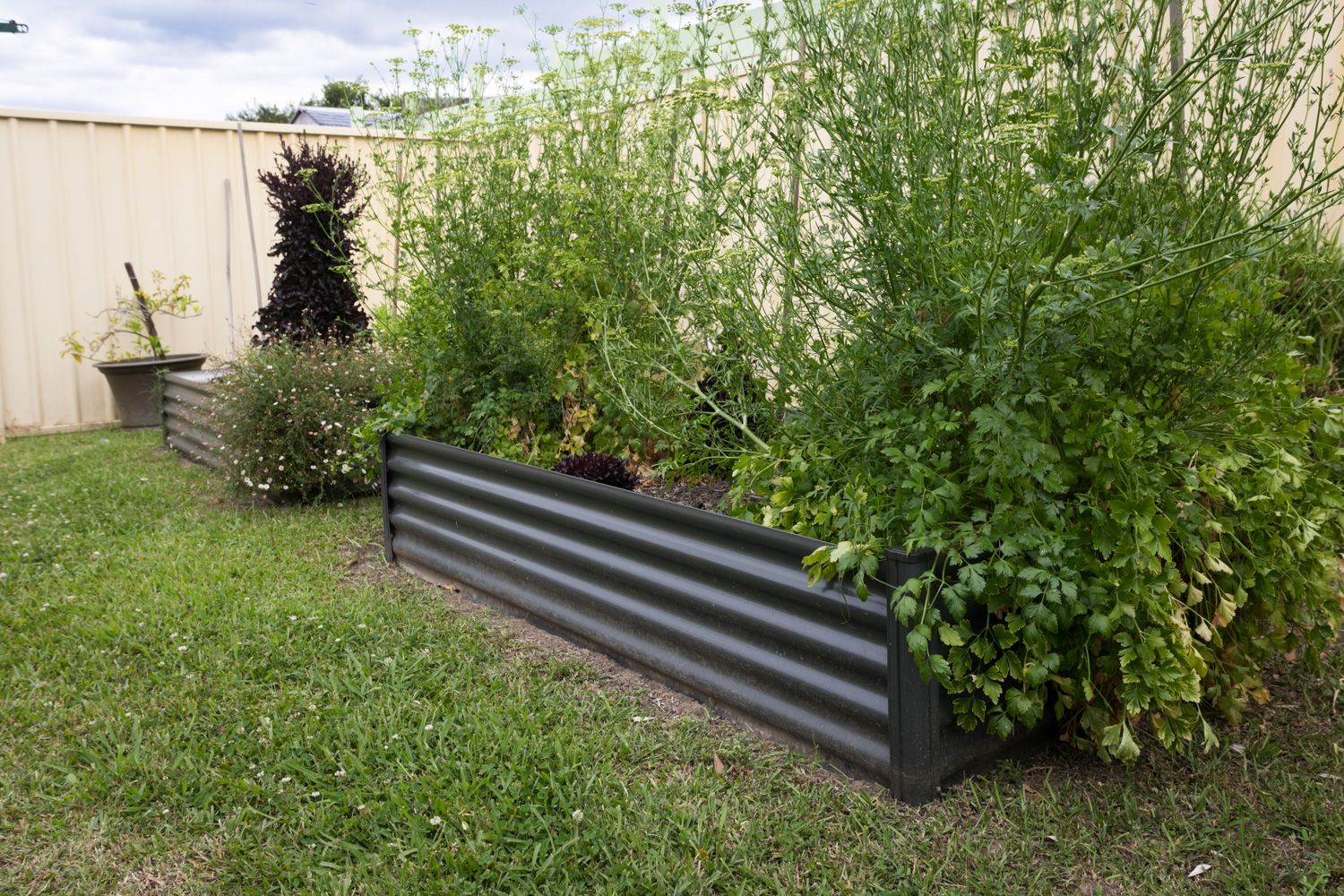 SIL 025 1B Walker Ave  Kanwal - Outdoor (LR)-0002 - Copy