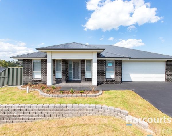 16326563 1_1_230214_125908-w1600-h1067