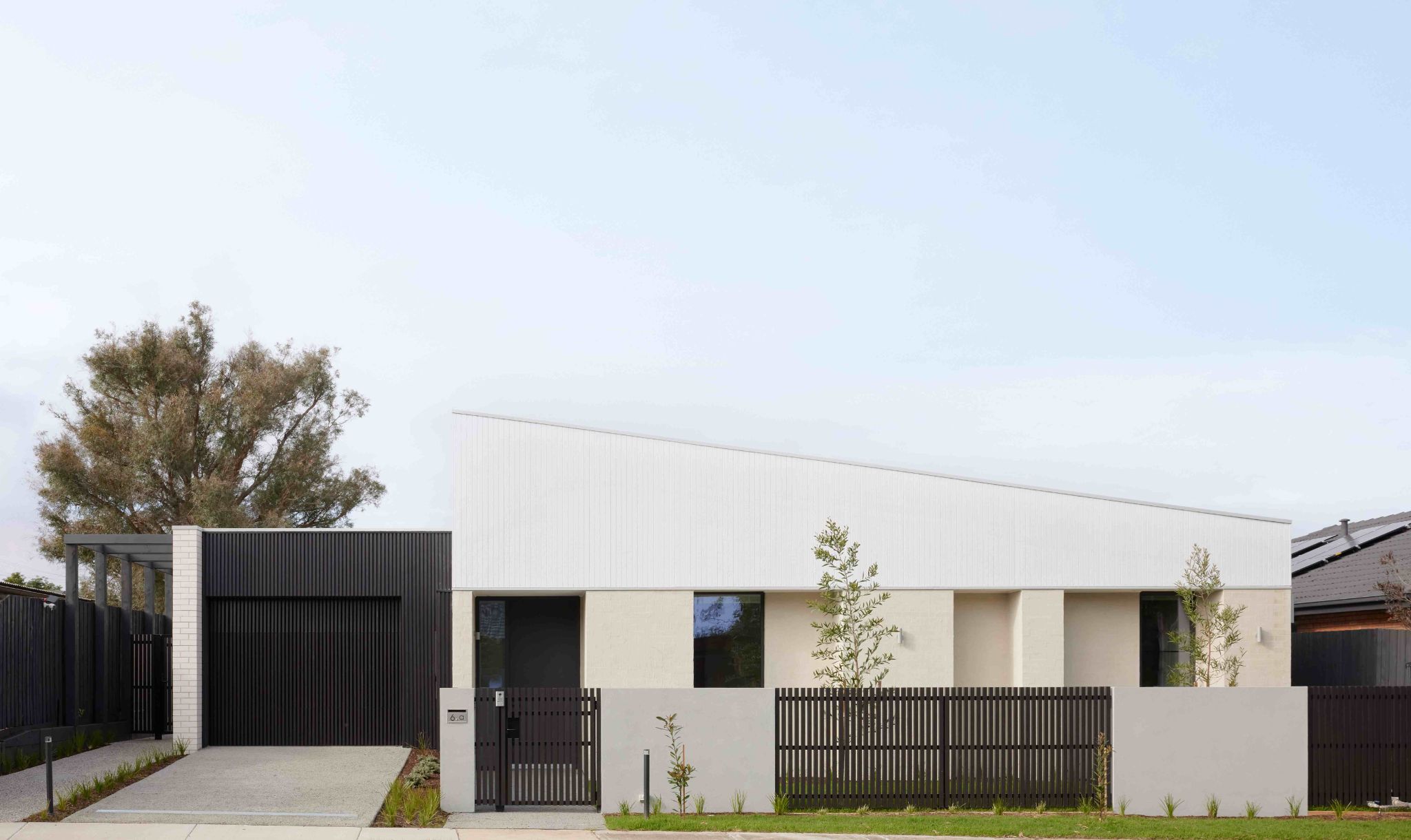 241011 SpeckSDA_Pimmys_Reinders_0042 NEW