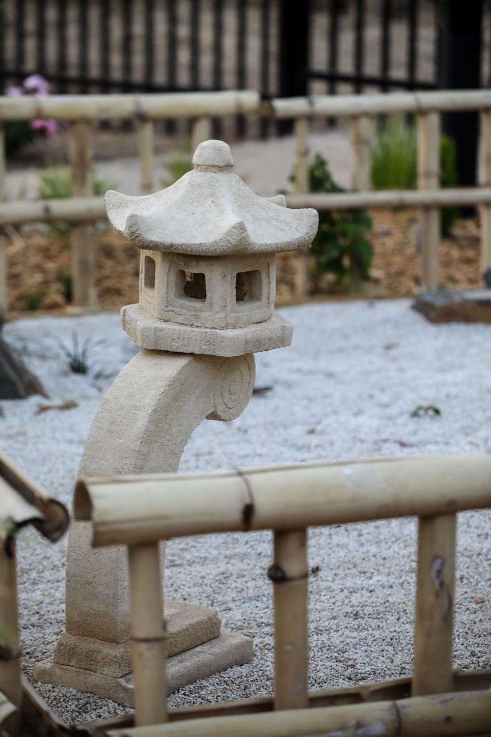 Lo Res SACARE The Gums-85