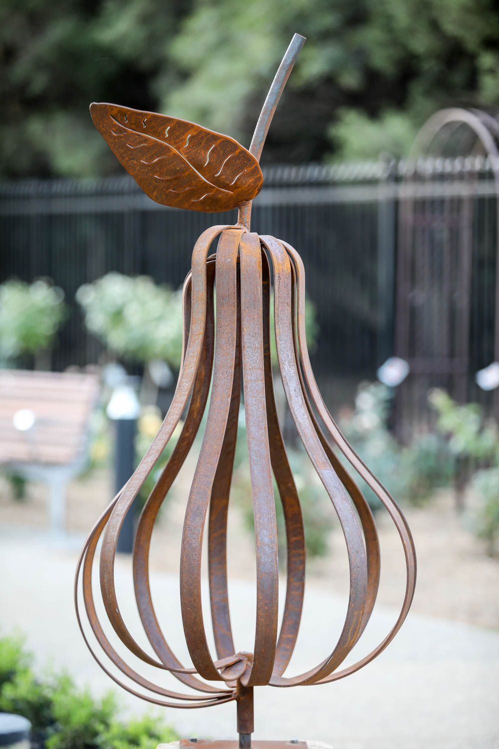 Lo Res SACARE The Gums-86