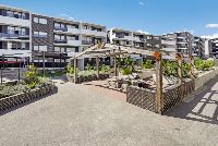 Outdoor Space 2   Schofields