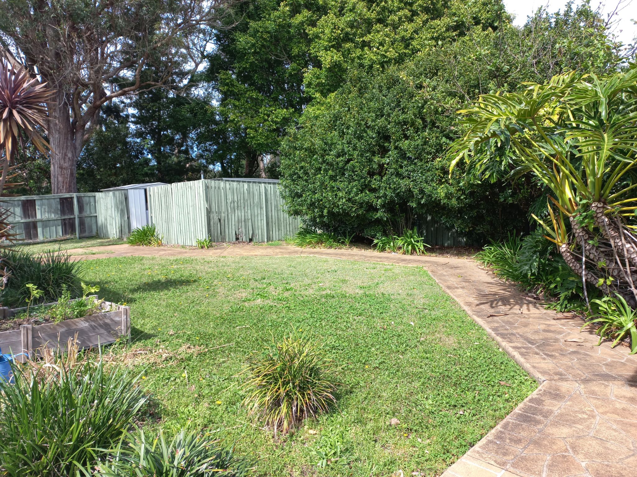 Supported Independent Living Ryde 1 (12857)_image 8_Backyard