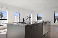 38 Mustang Close  21) smaler