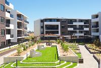 Aland Bottlebrush-PowerPattern-4879