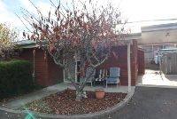 Front and Carport resized