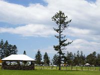 635f16b5799bce74731845b9 Wollongong – 7