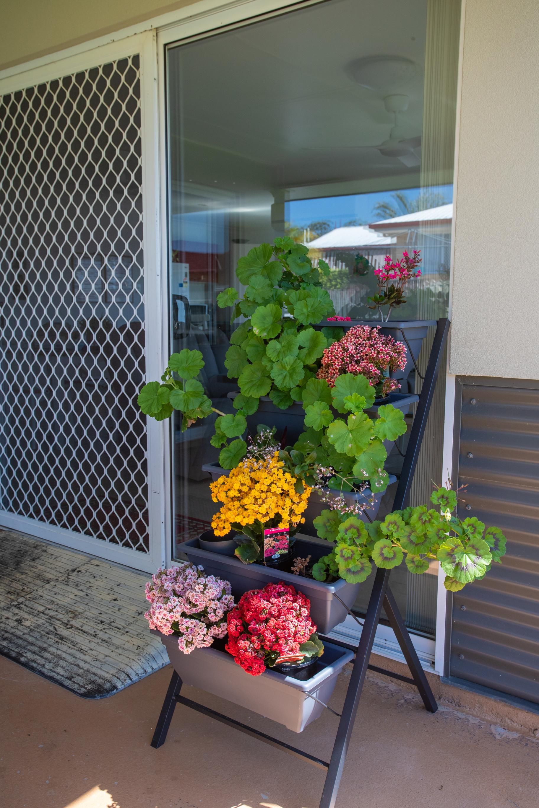 47 Tulipwood Drive 21