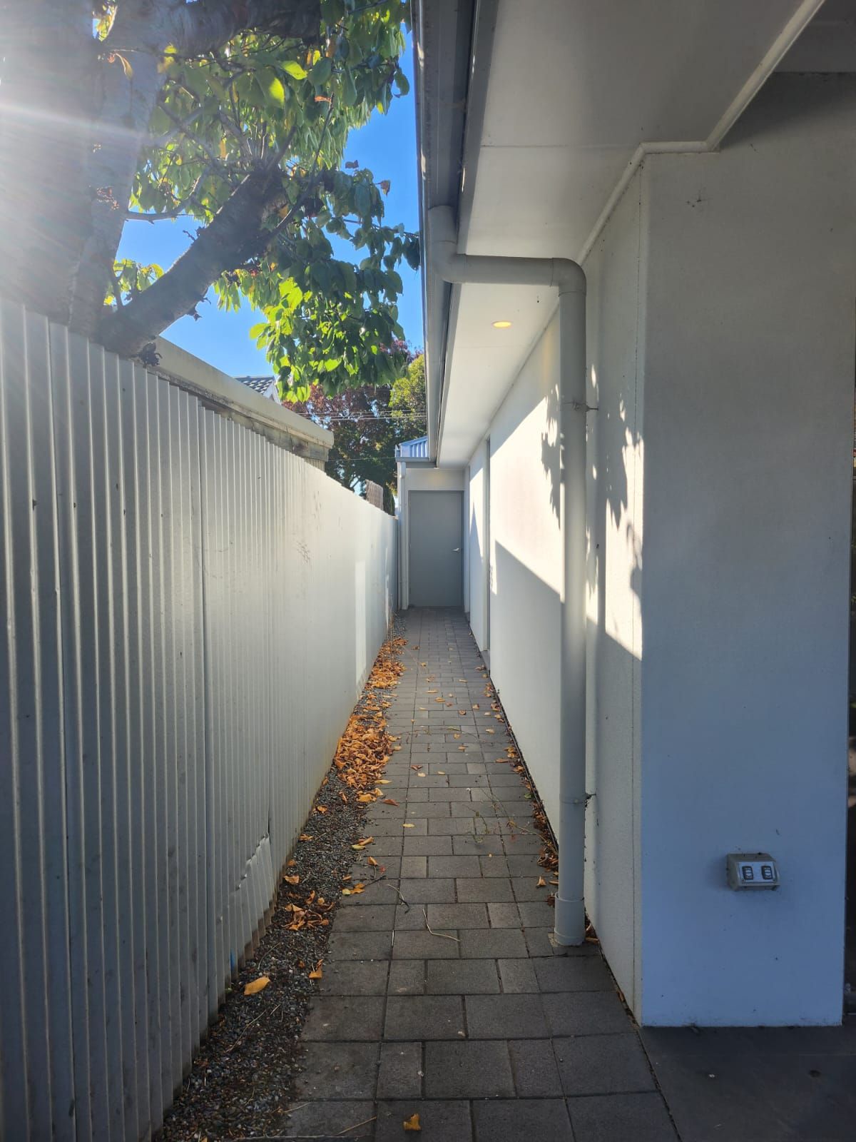 WhatsApp Image 2024 05-06 at 3.45.14 PM (2)