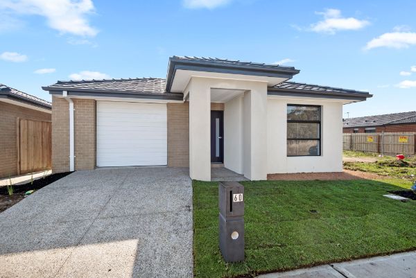 60 Dalmatian-St-1917