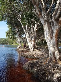 Respite @ Byron Care Stay beautiful NDIS out door activities in natureake Ainsworth 2 BCS