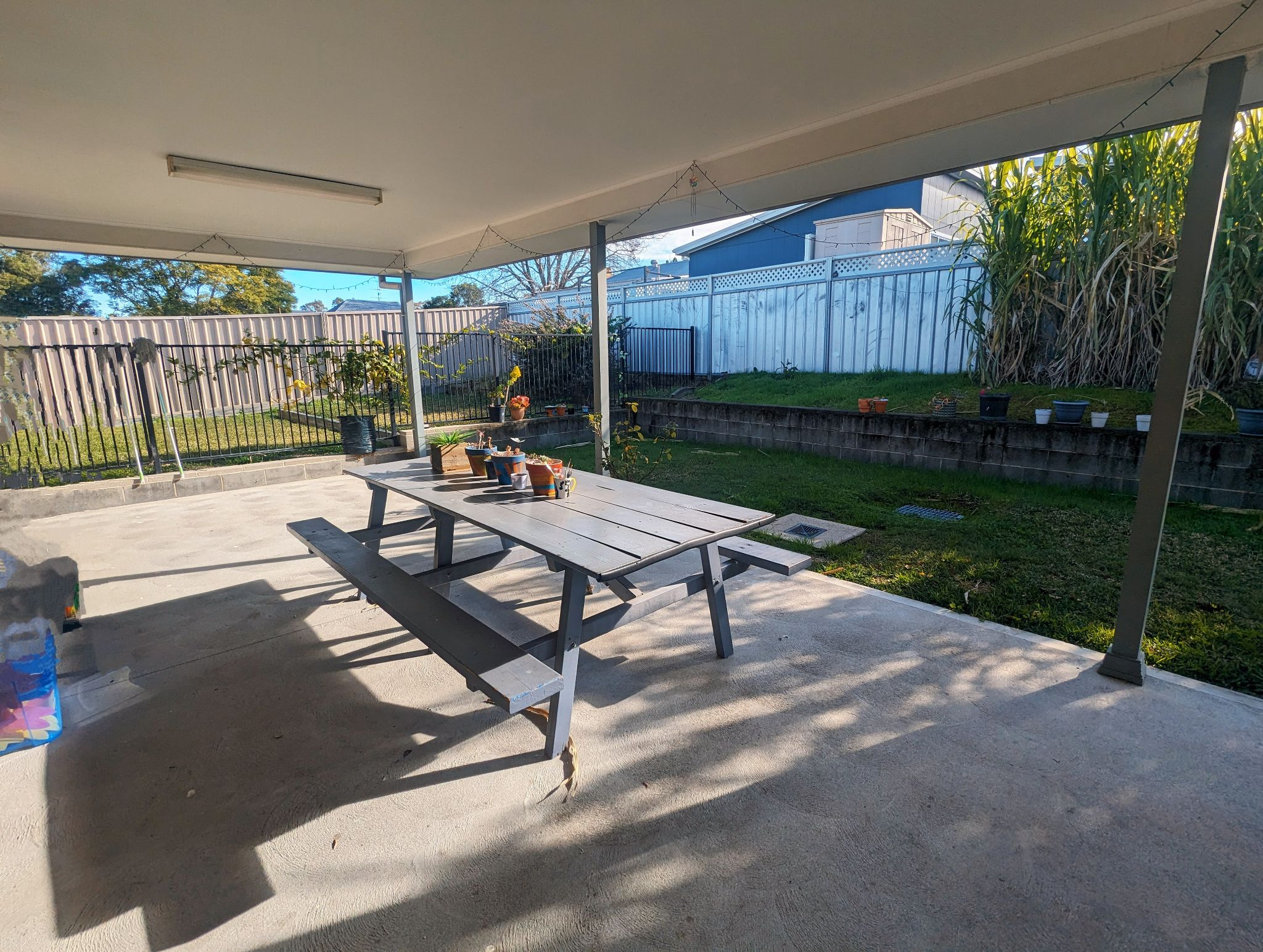 PXL 20240620_235510511~2