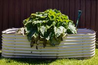 SIL0029 LR_Bilba  Crescent, Maryland_ Outside Back of House-6391