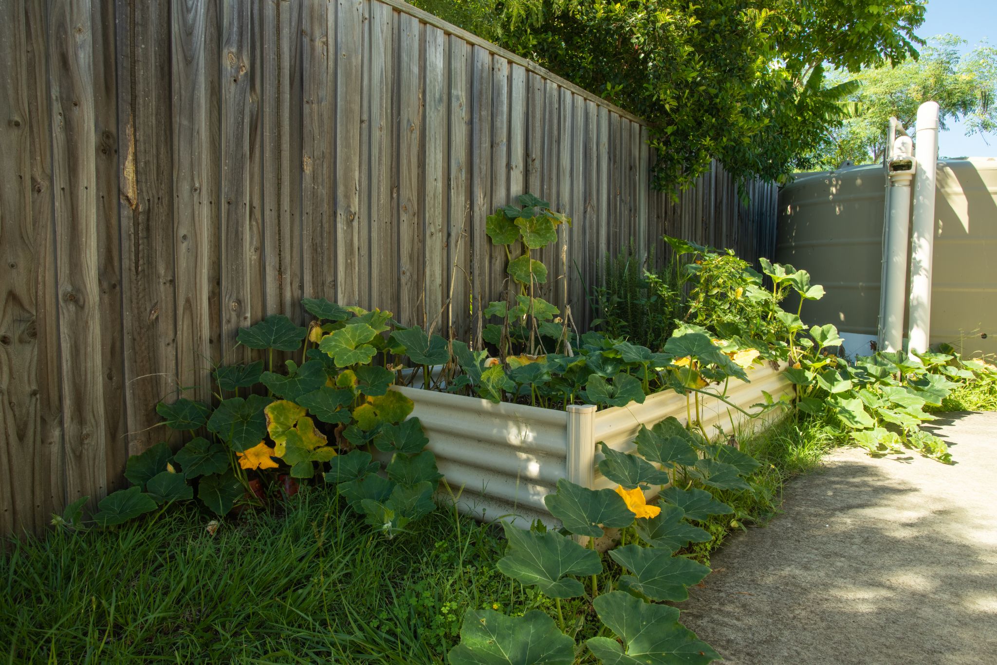 47 Messara Circuit Durack 3)