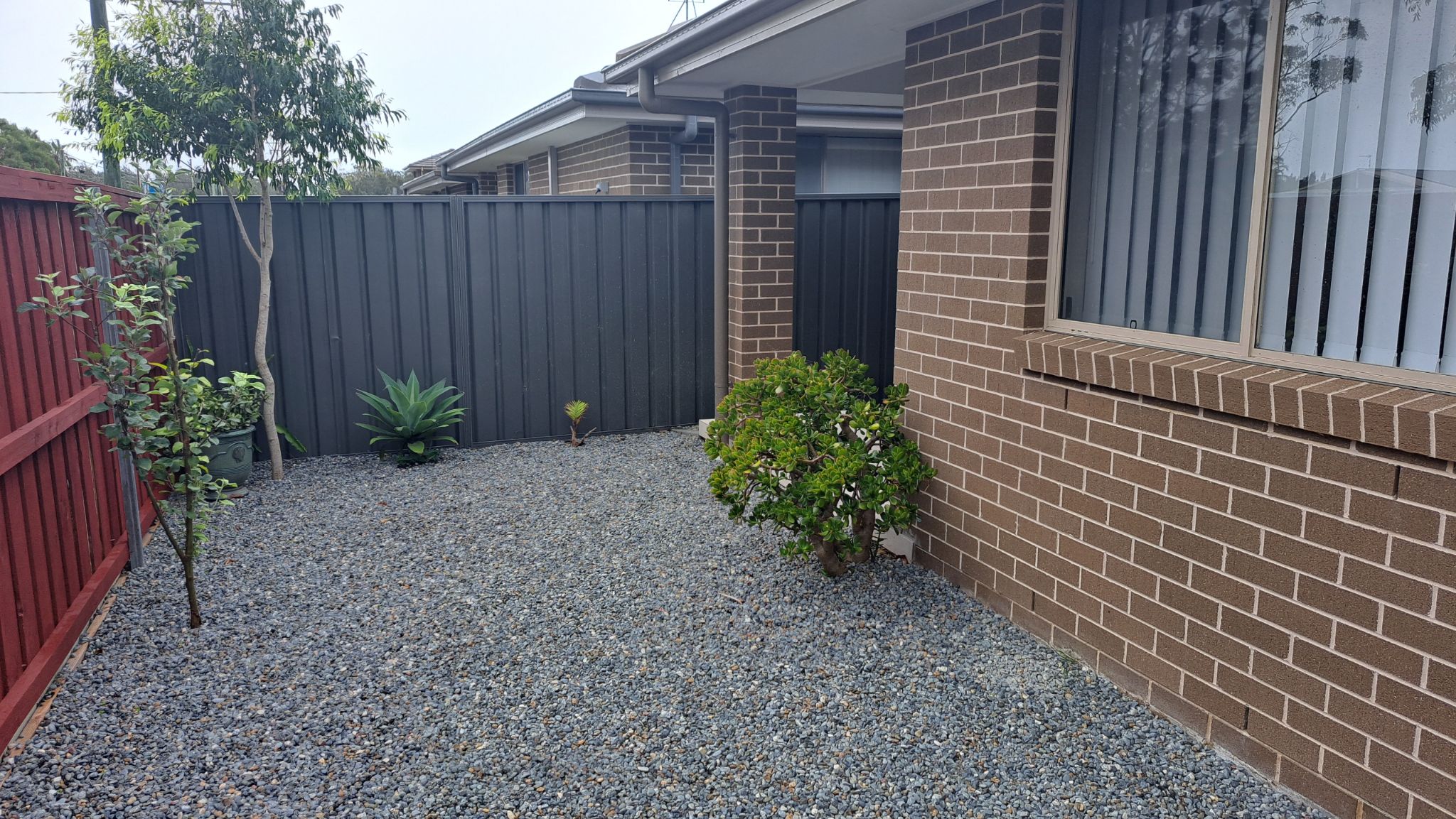 Resized 20230222_155131