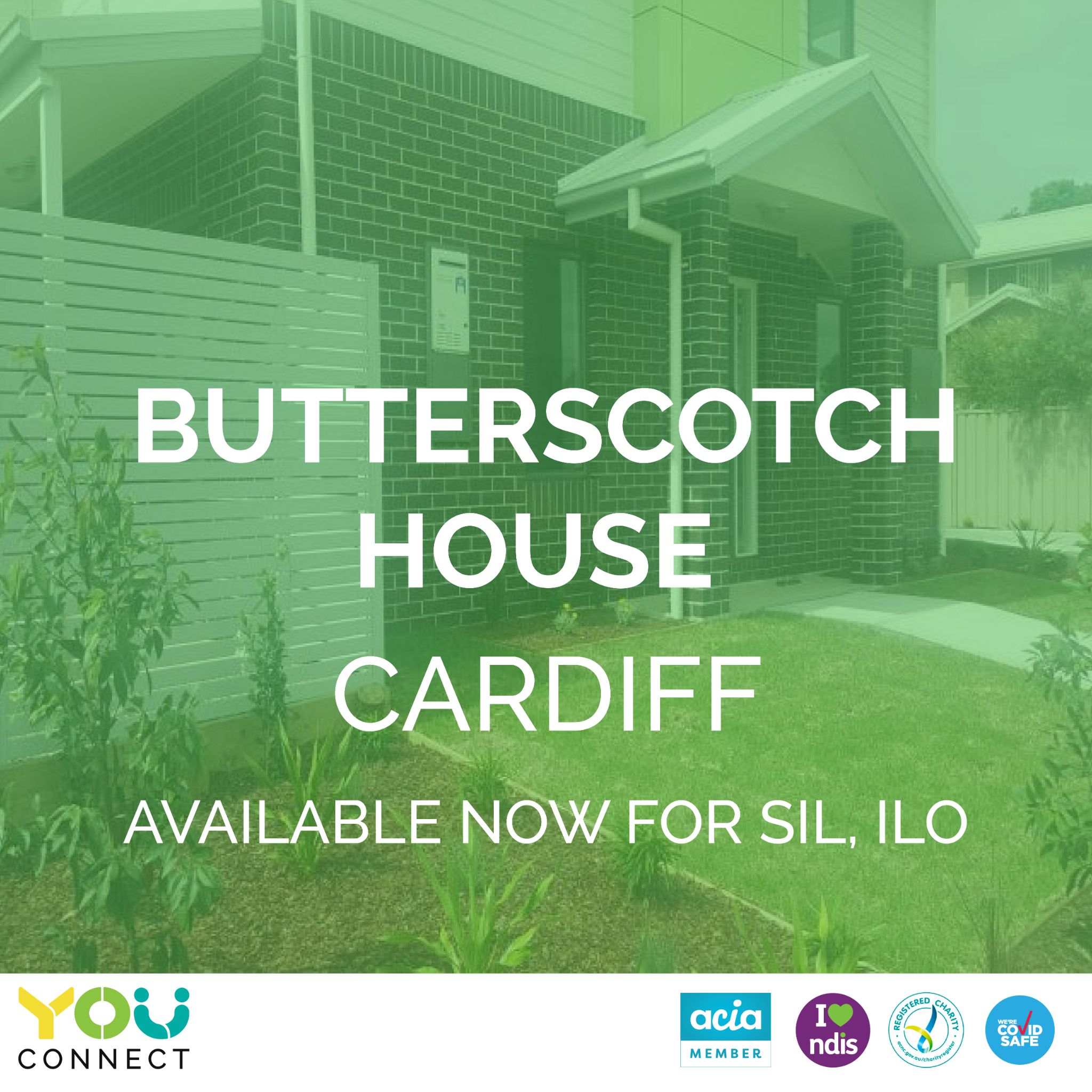 Butterscotch stills 3