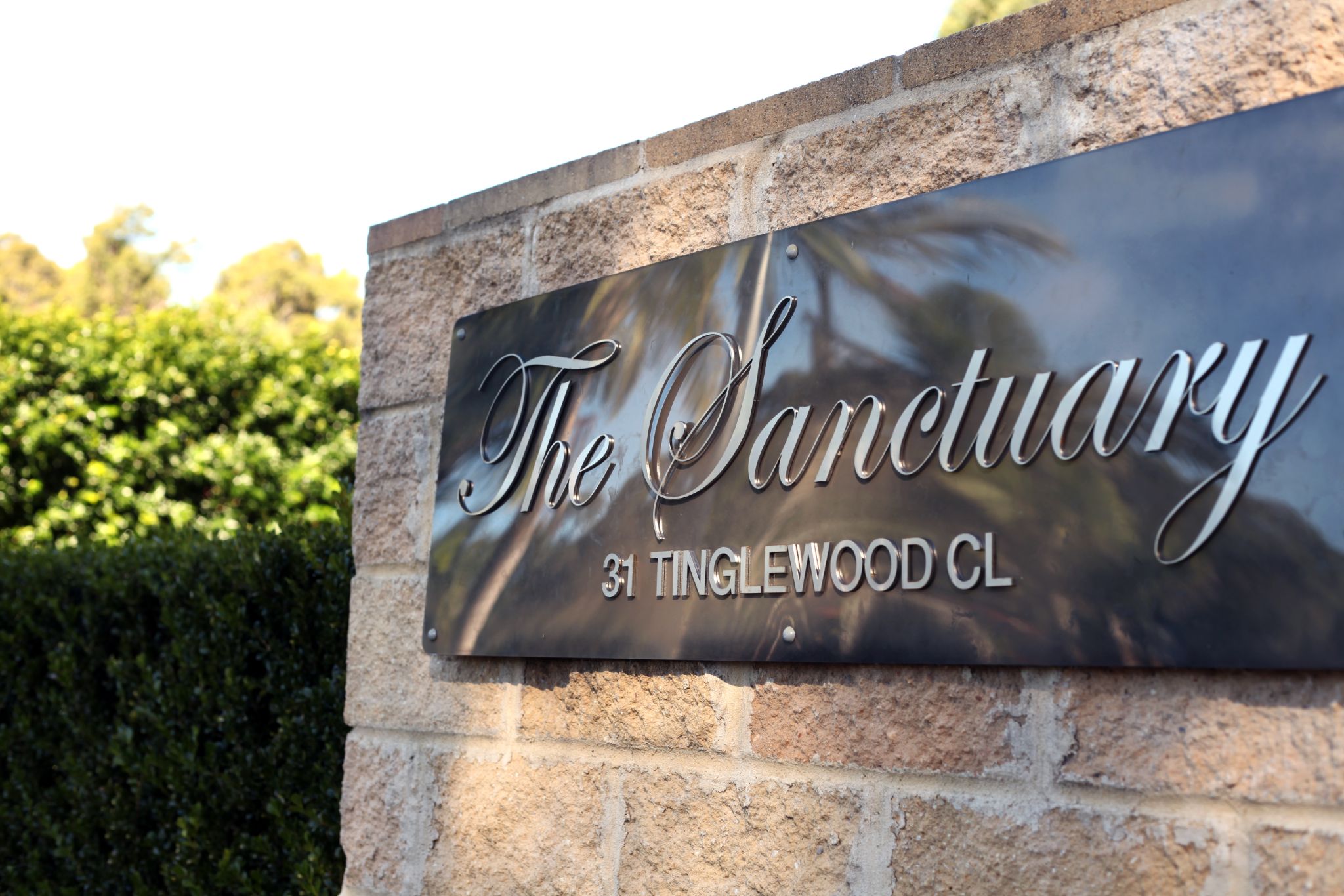 IMG 2699_cc (1) - Copy