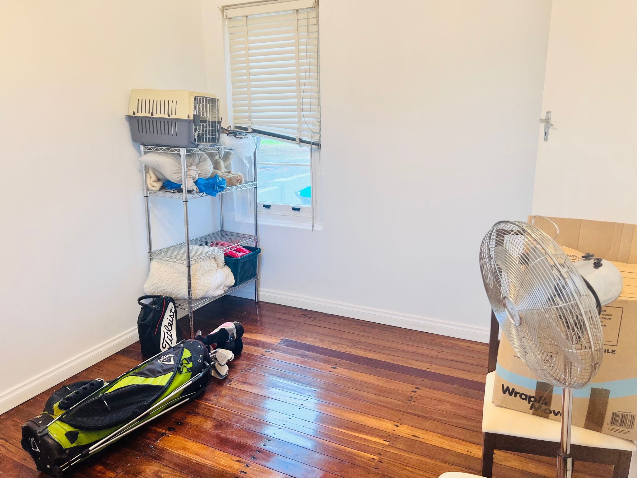 WhatsApp Image 2023 08-02 at 4.09.44 PM