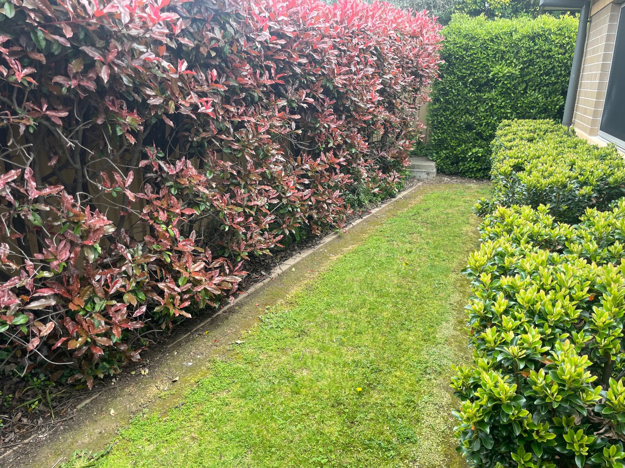 MicrosoftTeams image (25)