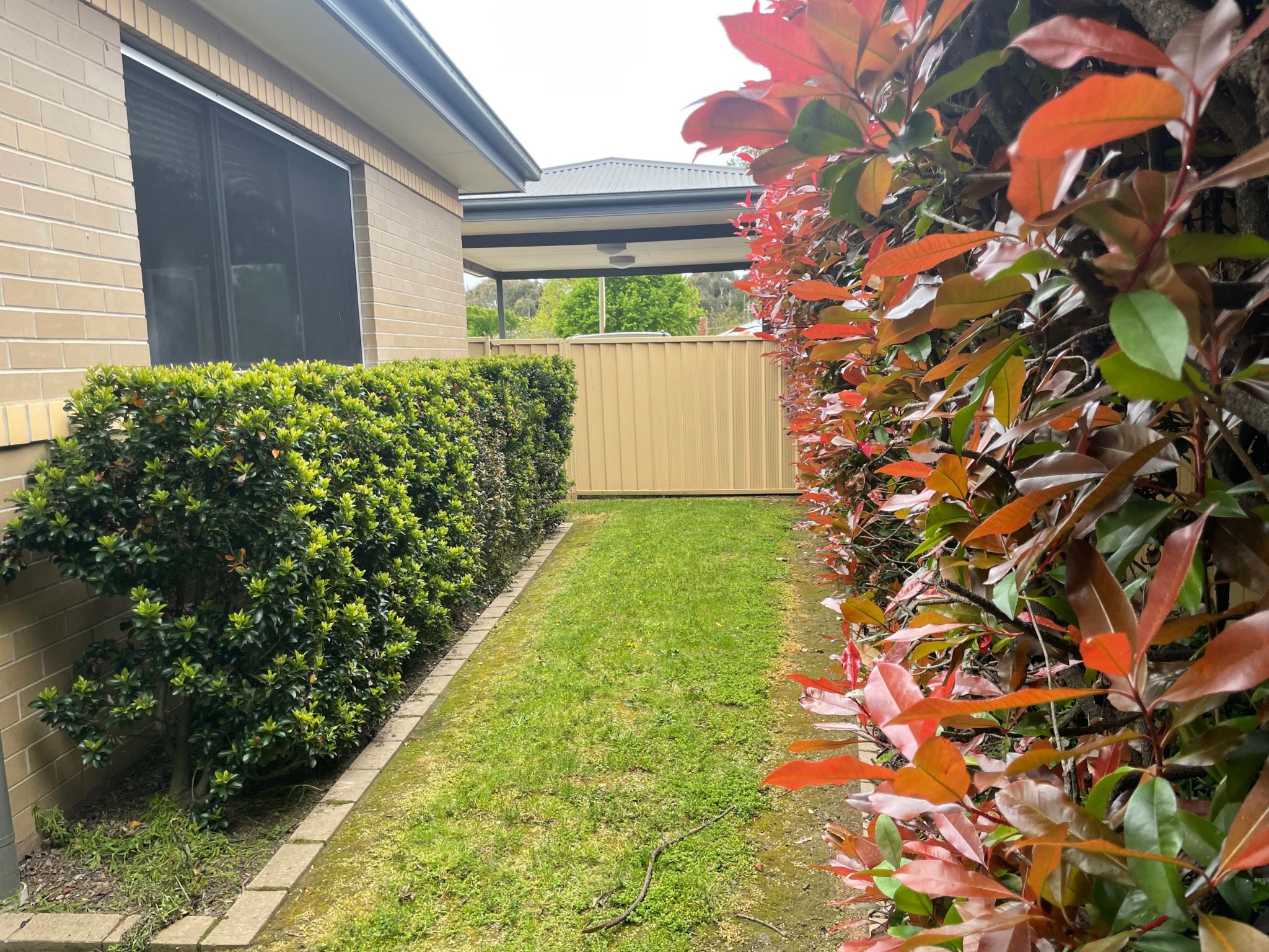 MicrosoftTeams image (22)