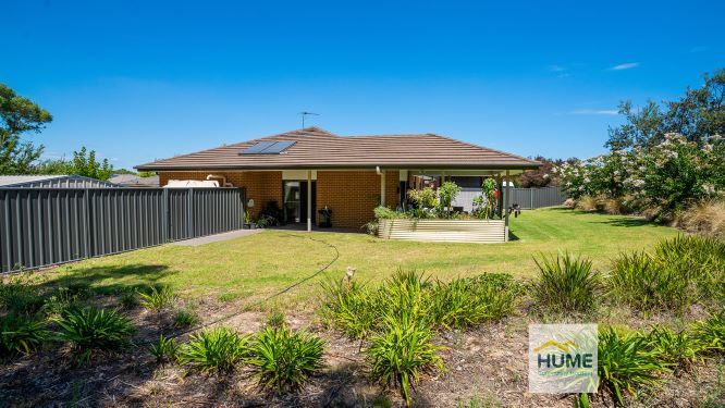 Thurgoona backyard small