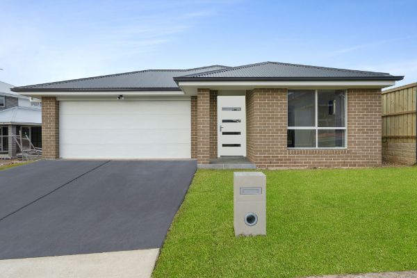 562611 5519359original.1920x0