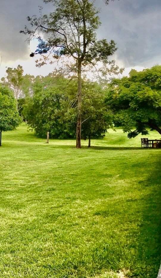 MicrosoftTeams image (4)