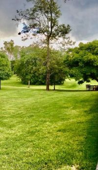 MicrosoftTeams image (4)