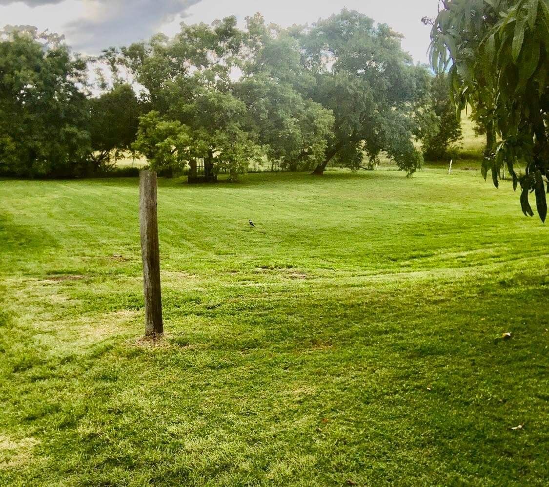 MicrosoftTeams image (1)