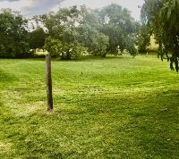 MicrosoftTeams image (1)