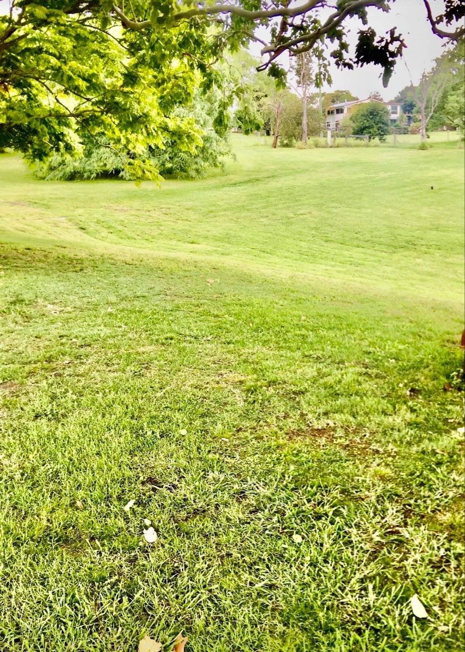 MicrosoftTeams image (2)