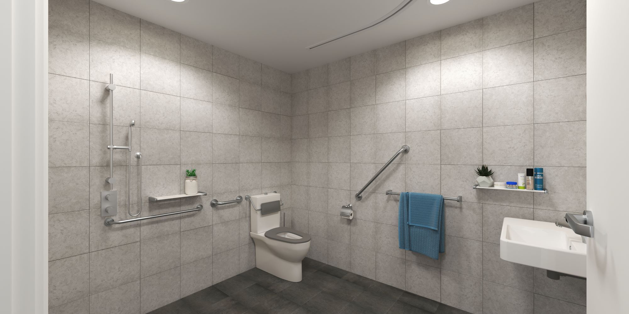 Bathroom disabilty accomm
