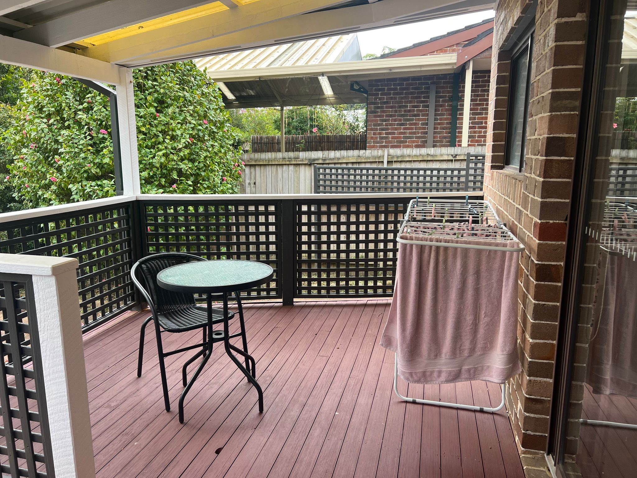 WhatsApp Image 2023 08-02 at 2.56.10 PM