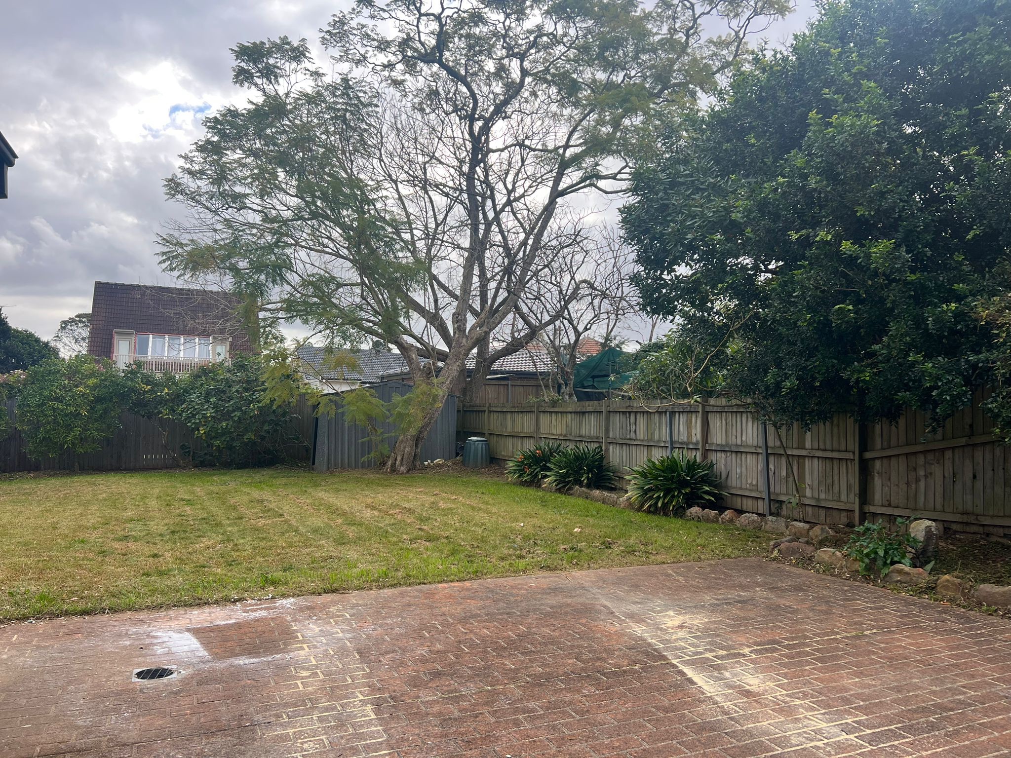 WhatsApp Image 2023 08-02 at 2.56.11 PM