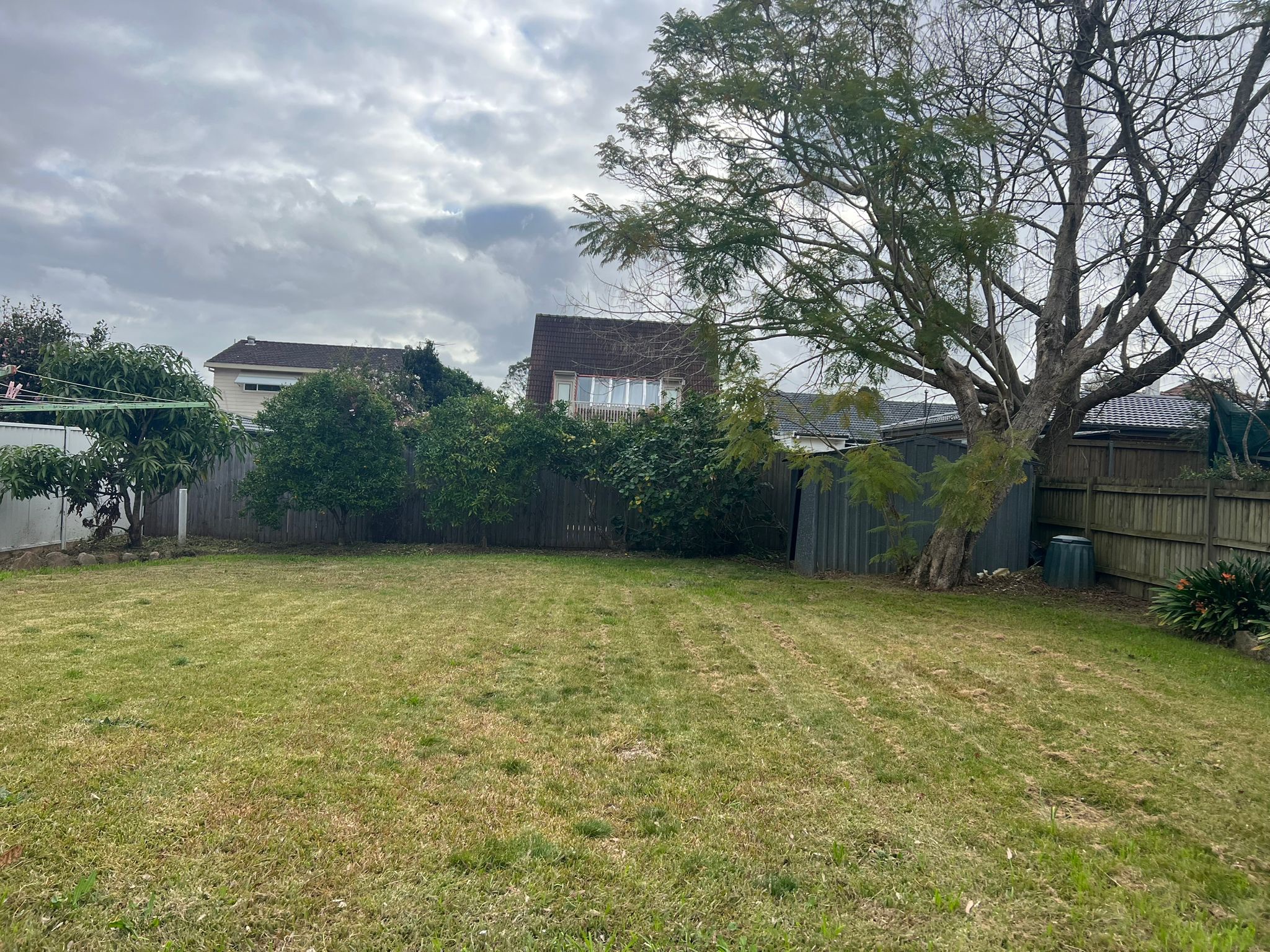 WhatsApp Image 2023 08-02 at 3.02.10 PM