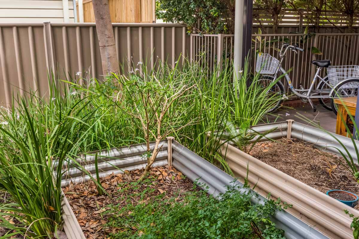 Aruma  73 Crane St 018_Web1200x800