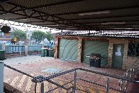 Guildford Backyard 2