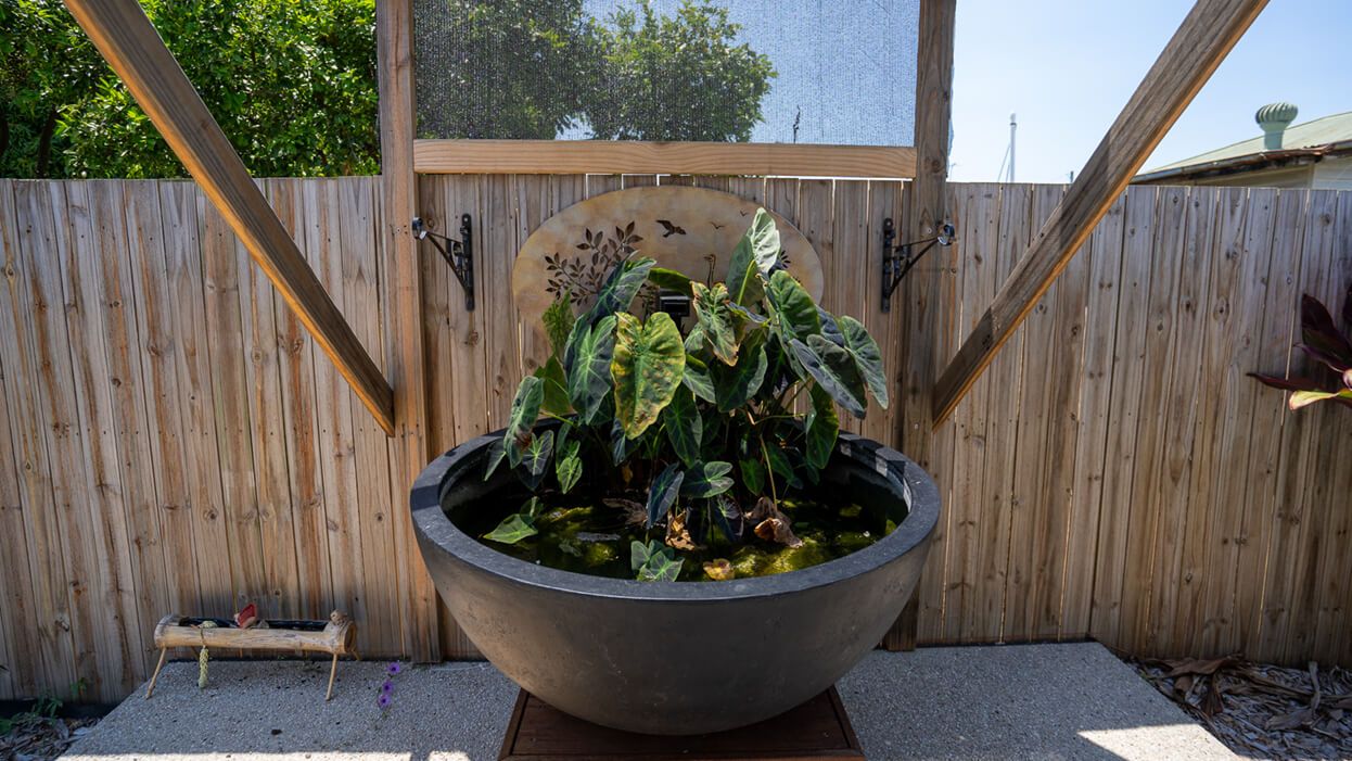 south mackay-17-large